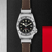 Tudor Black Bay P01