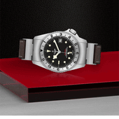 Tudor Black Bay P01