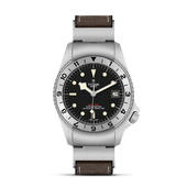 Tudor Black Bay P01